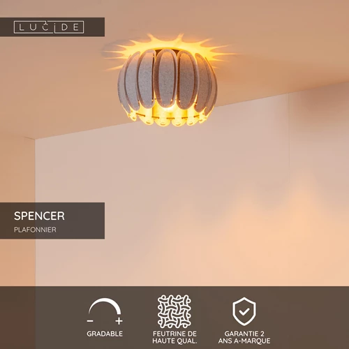 Lucide SPENCER - Plafonnier - Ø 30 cm - 1xE27 - Gris - USP